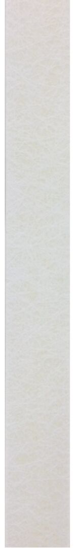 PURJELATTA 40mm x 2m