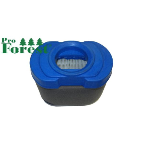 Ilmansuodatin Briggs & Stratton #792105