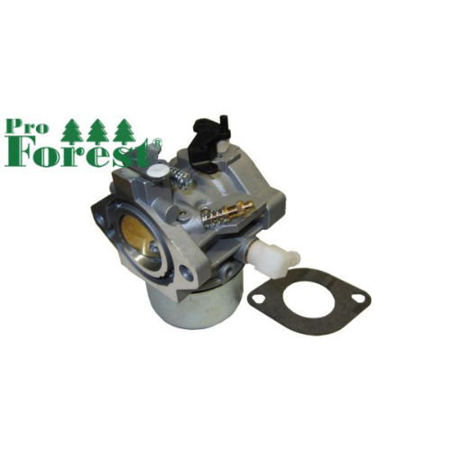 Kaasutin Briggs & Stratton #699831