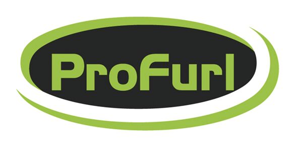 PROFUL RUUVI M8X10MM A2