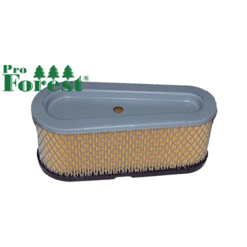 Ilmansuodatin Briggs & Stratton #496894