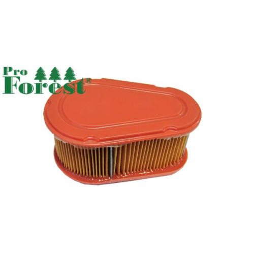 Ilmansuodatin Briggs & Stratton #792038