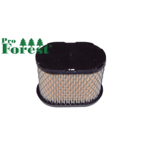 Ilmansuodatin Briggs & Stratton #697029