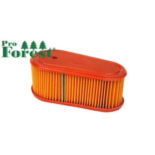 Ilmansuodatin Briggs & Stratton #795066