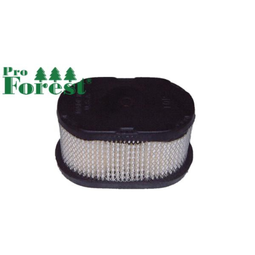 Ilmansuodatin Briggs & Stratton #497725