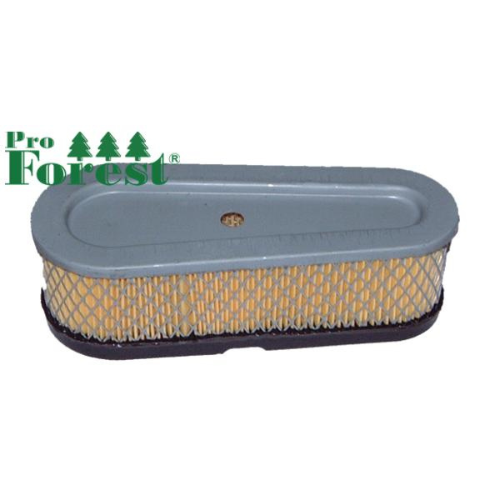 Ilmansuodatin Briggs & Stratton #493910