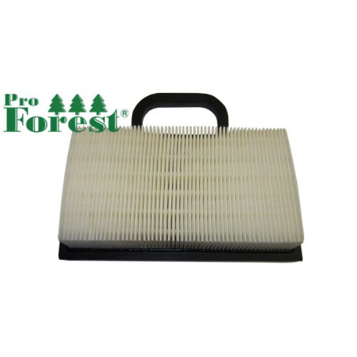 Ilmansuodatin Briggs & Stratton #499486S