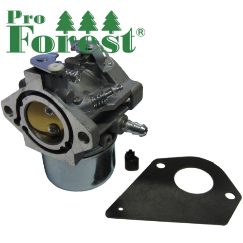 Kaasutin Briggs & Stratton #698171