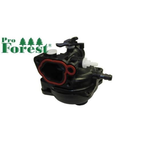 Kaasutin Briggs & Stratton #590556