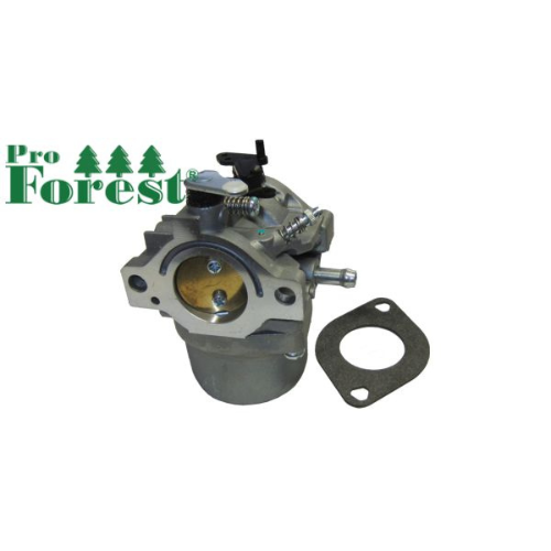 Kaasutin Briggs & Stratton #799728