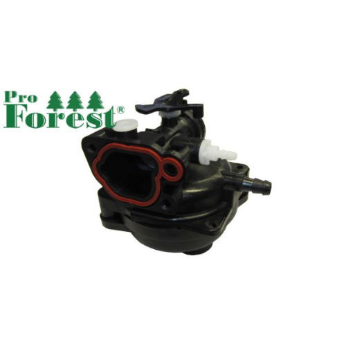 Kaasutin Briggs & Stratton #591160