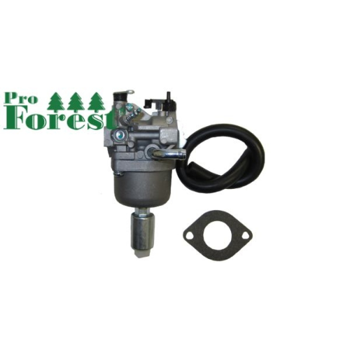 Kaasutin Briggs & Stratton #590400, #796078