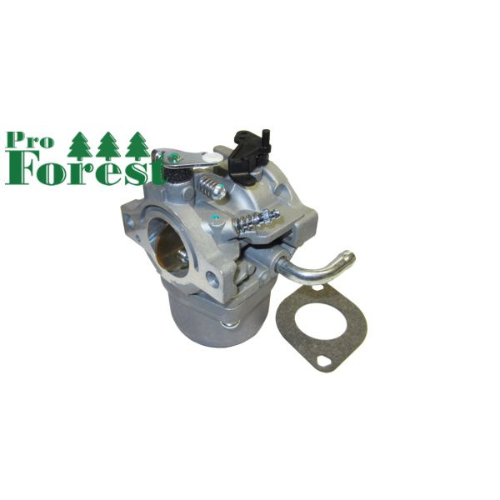 Kaasutin Briggs & Stratton #590399, #593432