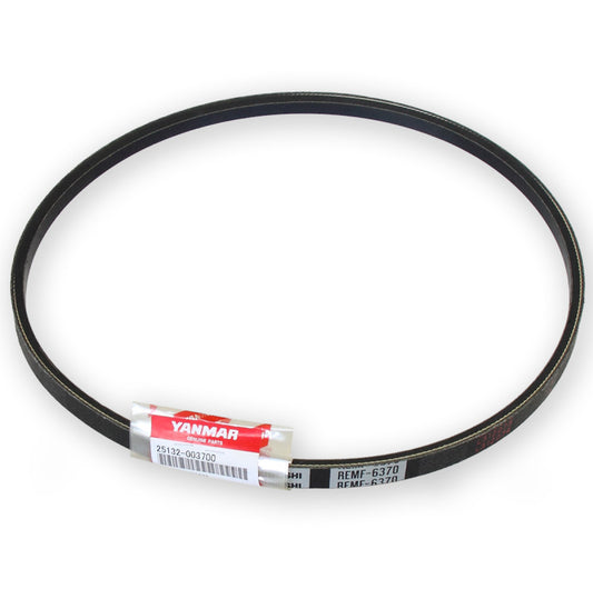 Laturin hihna 2GM20F, 3GM30F
